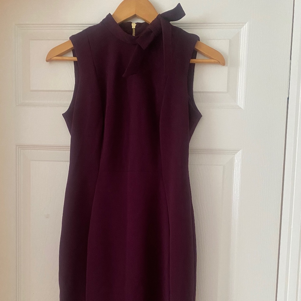 Calvin Klein - 6P - Plum Purple Dress with Bow Collar and Cinched Waist